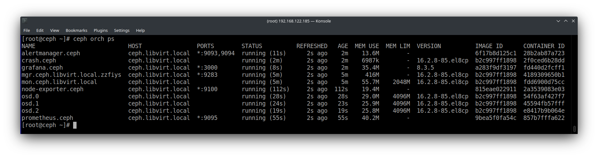 Ceph orch output